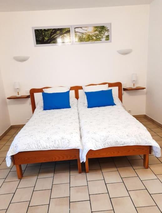 Appartement Les Albizias 5 à Eugenie-les-Bains Extérieur photo